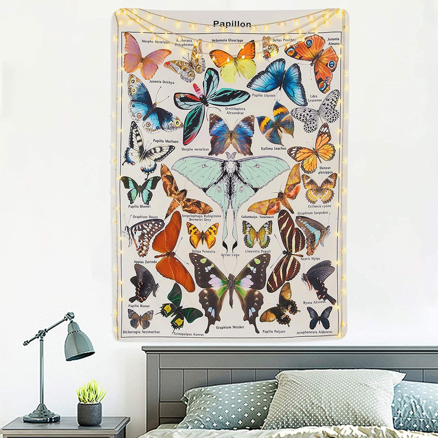 Papillons Butterfly Tapestry, Vintage Wall Hanging Mandala, Butterfly Chart, Butterfly Wall Art, Adolphe Millot Poster
