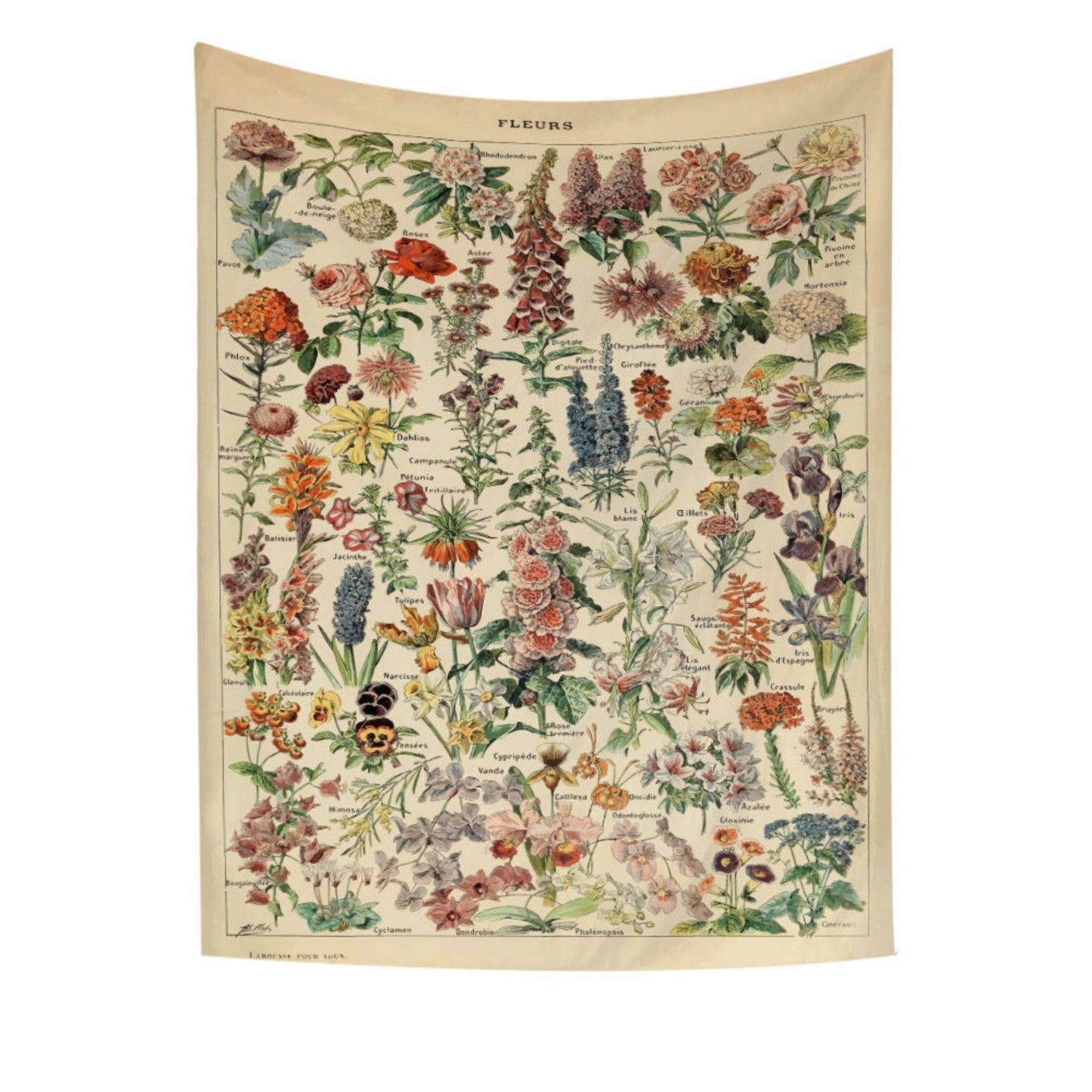 Vintage Flower Tapestry, Plant tapestry,  Botanical Print Tapestry , Herbs Tapestry, Floral  Chart Poster, Tapestries for Kitchen Bedroom