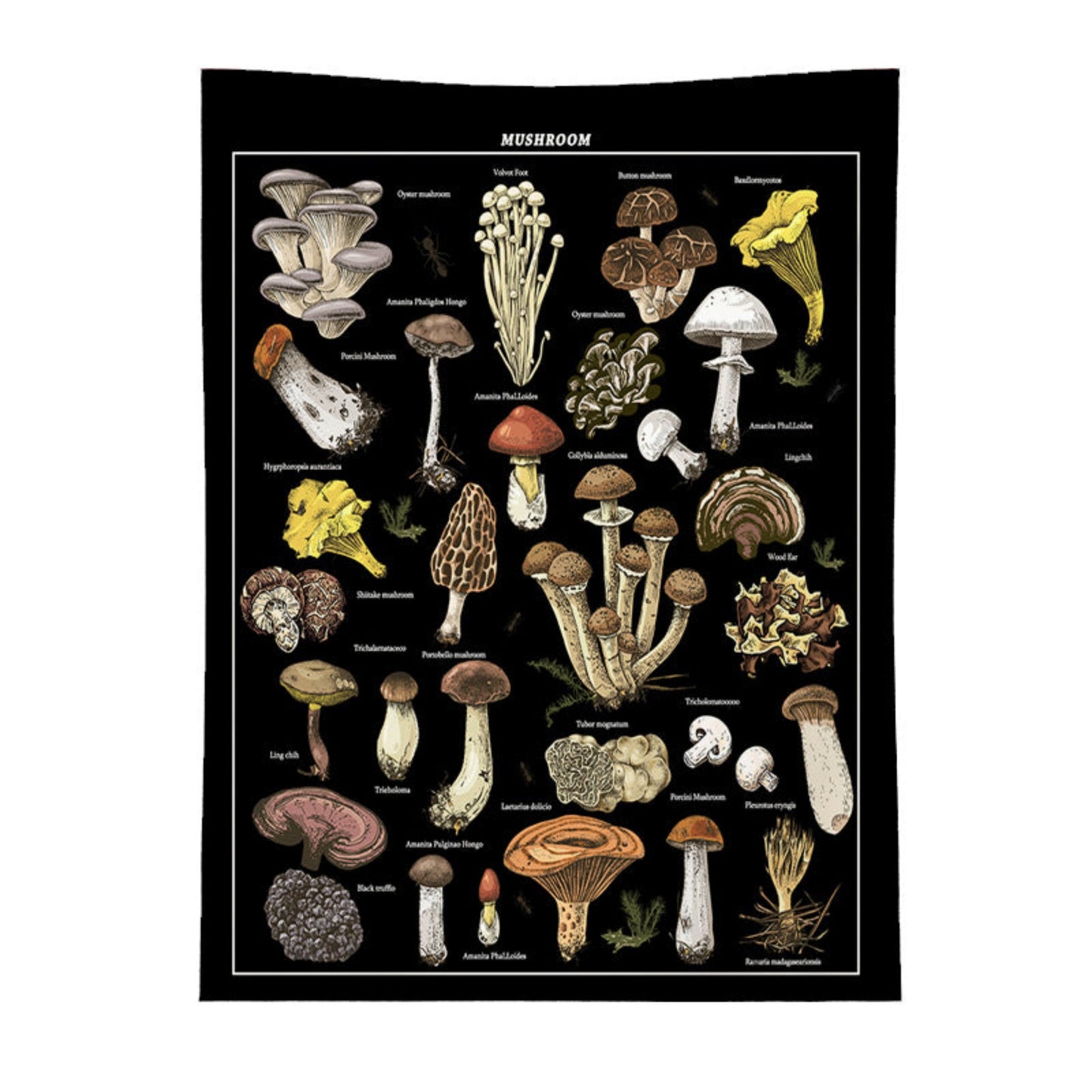 Mushroom Tapestry, Plant tapestry, Botanical Tapestry , Herbs Tapestry Wall Hanging, Tapestries for Kitchen Bedroom Living Room Dorm décor