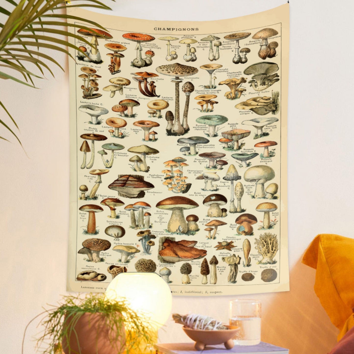 Mushroom Tapestry, Plant tapestry, Botanical Vintage Tapestry , Herbs Tapestry, Champignons Chart Poster, Tapestries for Kitchen Bedroom
