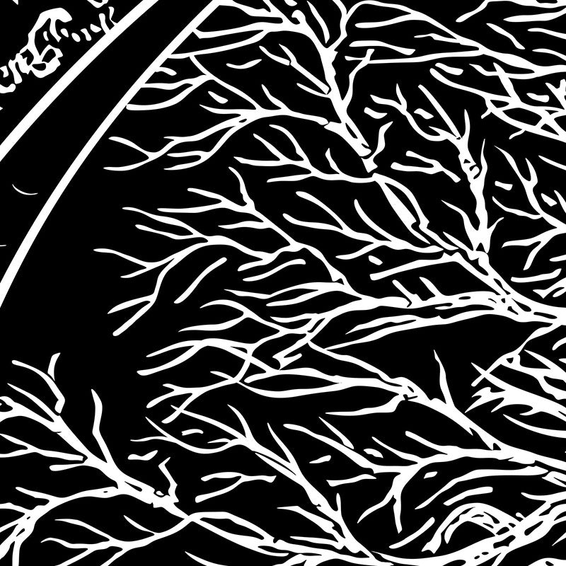 Tree of Life Tapestry ,Black and White, Skeleton Tapestry, Skull Tapestries ,Snake Tapestry ,Moon Phase Tapestry ,Wall Hanging for Room